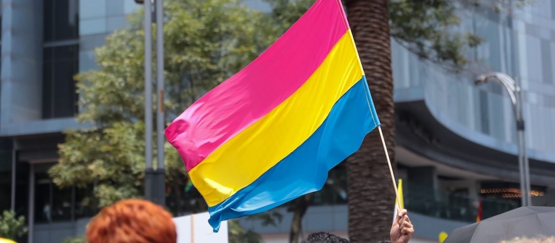 Pansexual flag at the annual gay parade in Mexico City